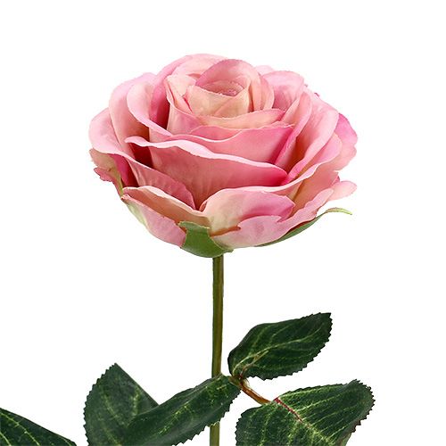 Floristik24 Fiori di seta rosa Ø7cm L37cm rosa scuro 6 pezzi