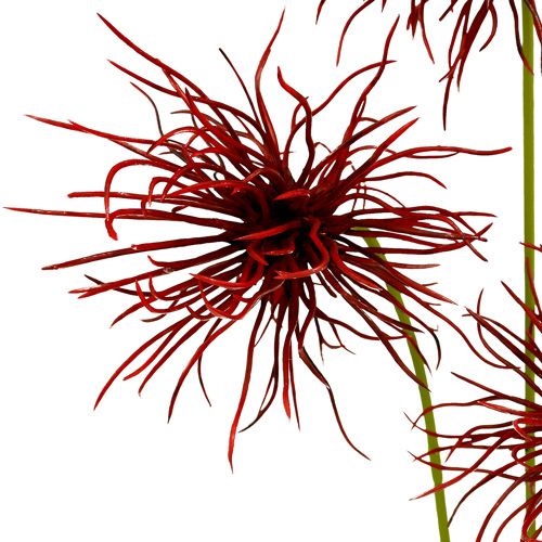 Floristik24 Fiori di seta Xanthium Bordeaux 64cm 4 pezzi