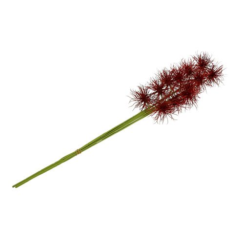 Floristik24 Fiori di seta Xanthium Bordeaux 64cm 4 pezzi