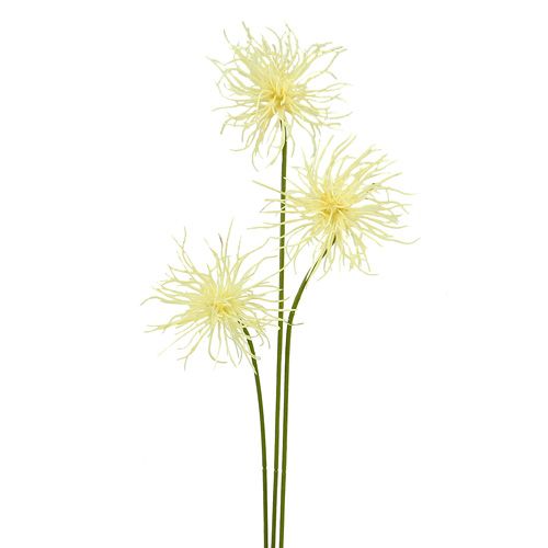 Floristik24 Crema di fiori di seta Xanthium 63cm 4 pezzi