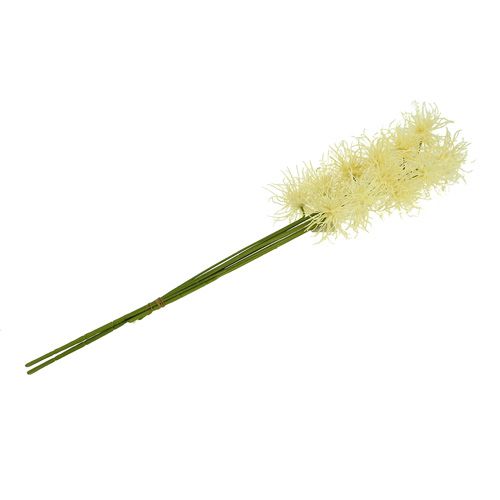 Floristik24 Crema di fiori di seta Xanthium 63cm 4 pezzi