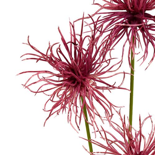 Floristik24 Fiori di seta Xanthium erika 63cm 4 pezzi