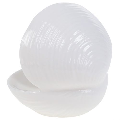 Floristik24 Portasapone guscio 12 cm x 10,5 cm x 11 cm bianco