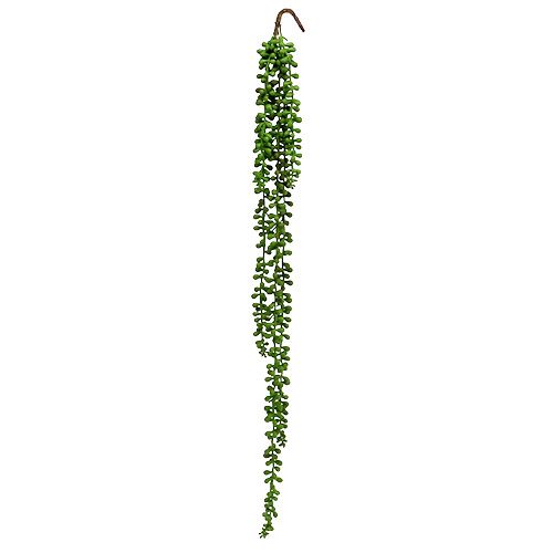 Floristik24 Appendino Senecio 75 cm verde