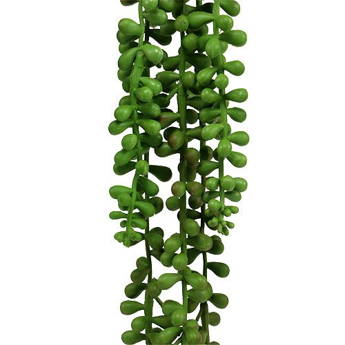 Prodotto Appendino Senecio 75 cm verde