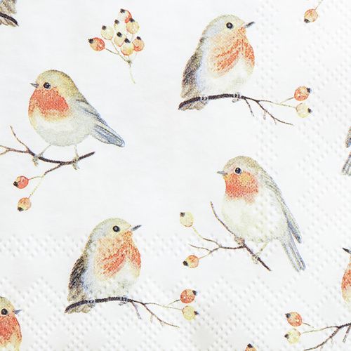 Floristik24 Tovaglioli Autunno Robin Rosa Canina 25x25 cm 20 pz