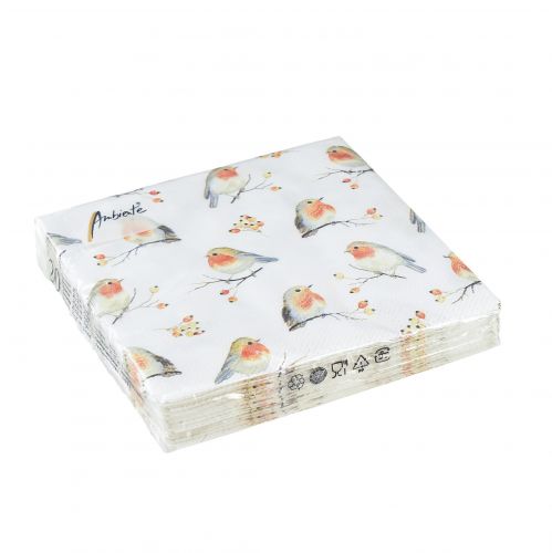 Floristik24 Tovaglioli Autunno Robin Rosa Canina 25x25 cm 20 pz