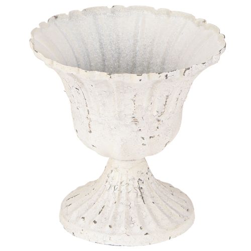 Floristik24 Decorazione Shabby Chic Tazza in Metallo Bianco Ø12cm H12cm
