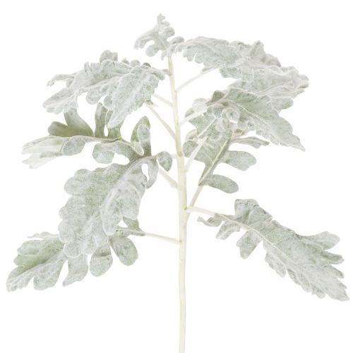 Ramo artificiale di Senecio, foglia argentata, finemente lavorato, 45 cm, 3 pezzi acquistare | Floristik24.it