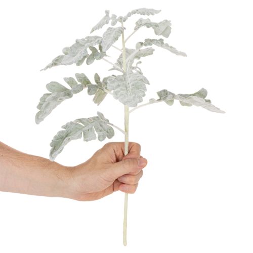 Ramo artificiale di Senecio, foglia argentata, finemente lavorato, 45 cm, 3 pezzi | Floristik24.it