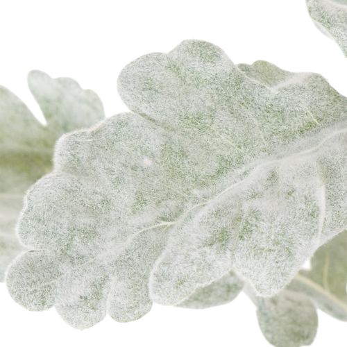 Ramo artificiale di Senecio, foglia argentata, finemente lavorato, 45 cm, 3 pezzi | Floristik24.it