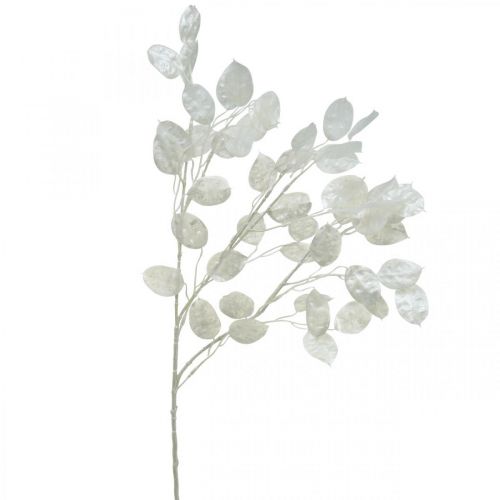 Ramo decorativo foglia argento bianco Ramo Lunaria ramo artificiale 70cm