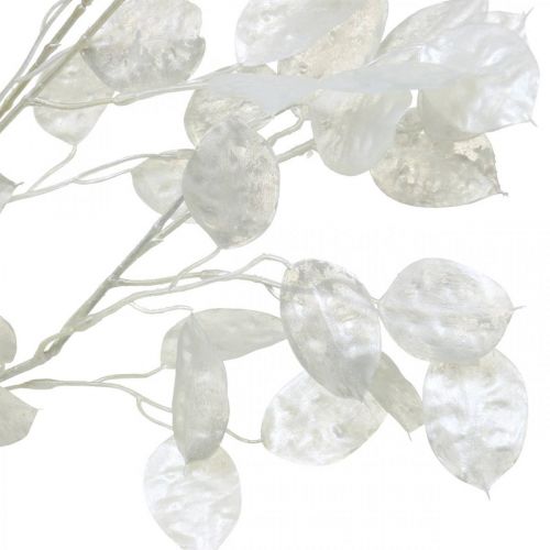 Ramo decorativo foglia argento bianco Ramo Lunaria ramo artificiale 70cm