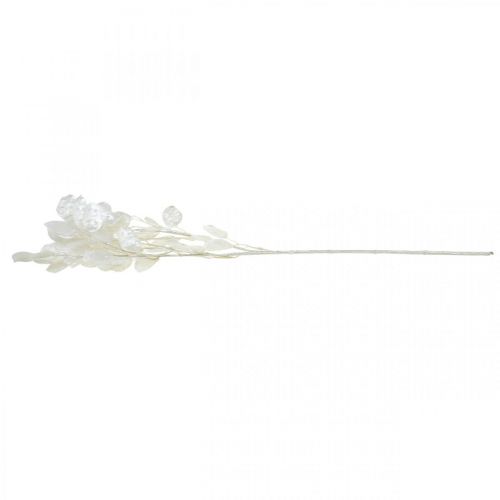 Floristik24 Ramo decorativo foglia argento bianco Ramo Lunaria ramo artificiale 70cm