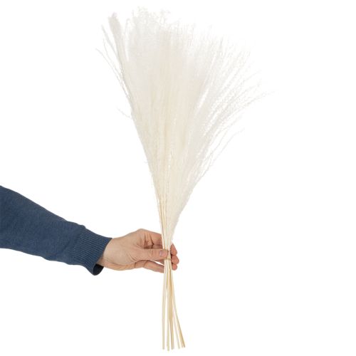 Prodotto Fiori secchi, erba argentata. Elegante decorazione naturale per la casa e l'ufficio. 70 cm, 10 pezzi.