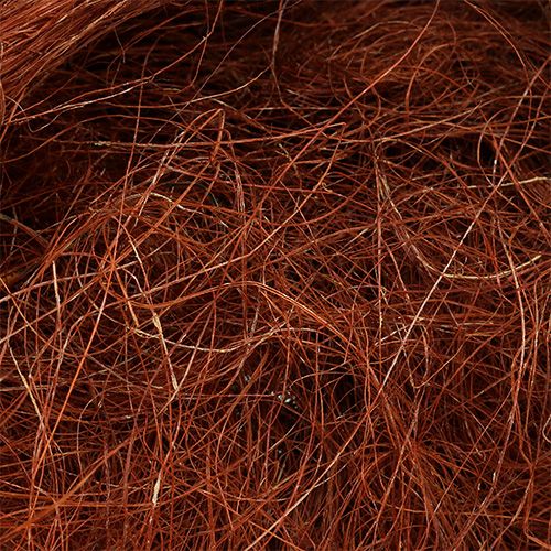 Floristik24 Sisal rame 250g