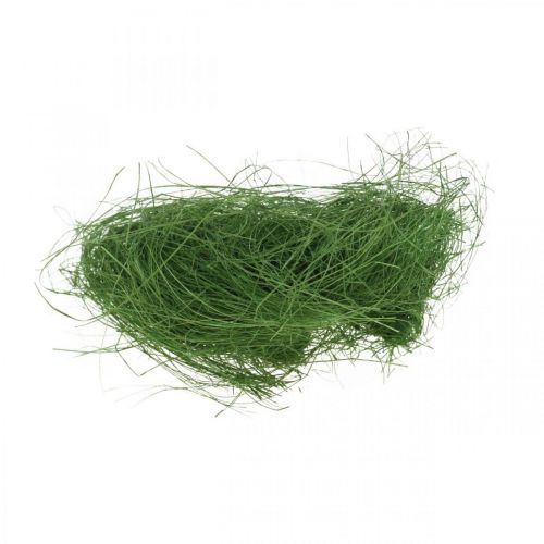 Floristik24 Fibra naturale Sisal verde muschio per decorare 300g