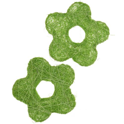 Floristik24 Verde sisalflower Ø7,5cm 25 pezzi