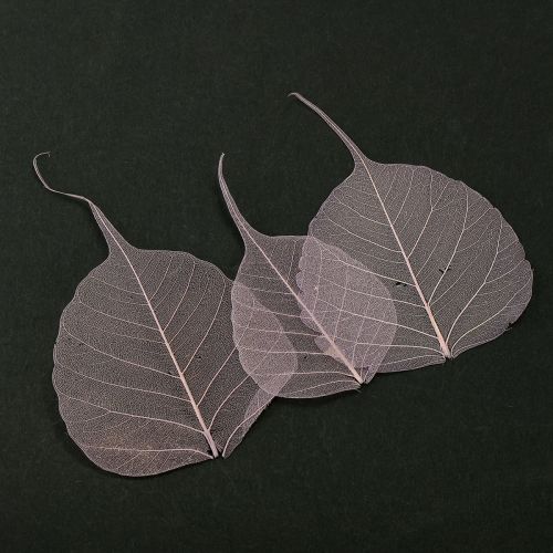 Foglie scheletriche Foglie di Bodhi scheletrizzate viola 5-15 cm 200 pezzi