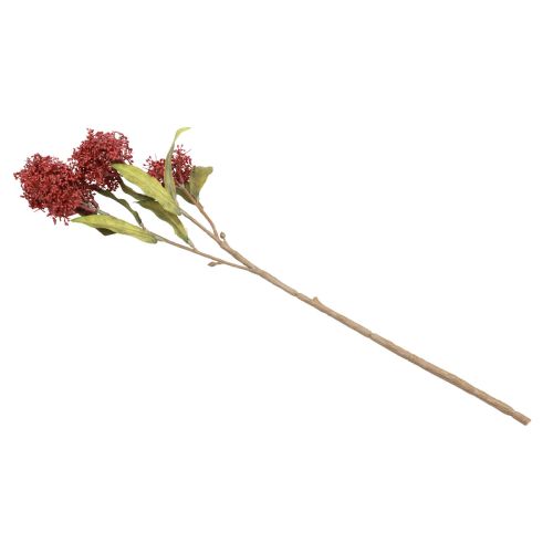 Prodotto Skimmie Skimmia Japonica Fiori artificiali Bordeaux DryLook L59 cm