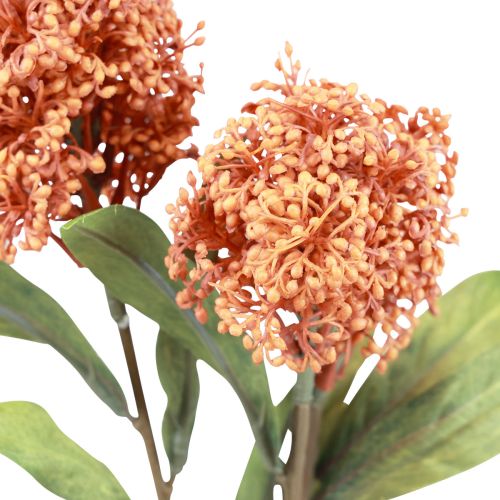 Prodotto Skimmie Skimmia Japonica Fiori artificiali Arancione DryLook L59 cm