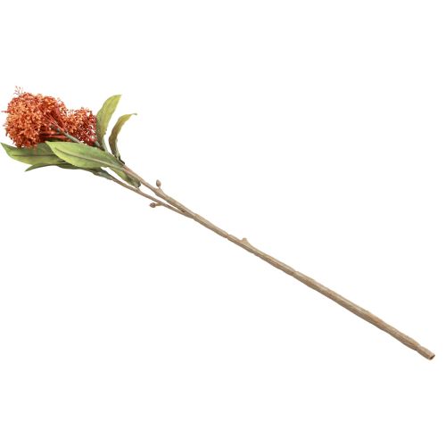 Prodotto Skimmie Skimmia Japonica Fiori artificiali Arancione DryLook L59 cm