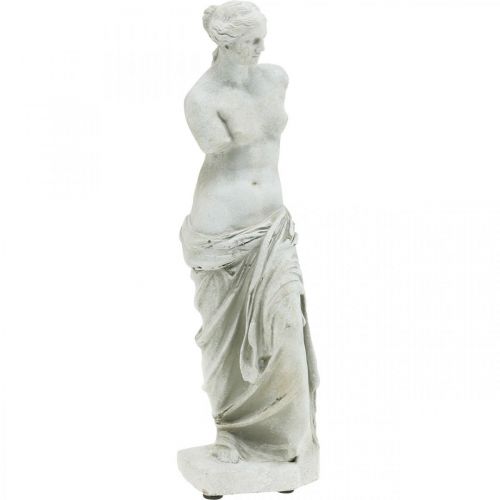 Floristik24 Statua di Venere scultura decorativa H29cm figura decorativa da giardino grigio-marrone