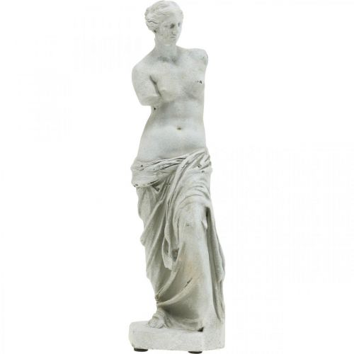Floristik24 Statua di Venere scultura decorativa H29cm figura decorativa da giardino grigio-marrone
