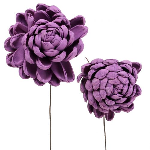 Floristik24 Fiori su filo viola scuro 8 cm 12 pz