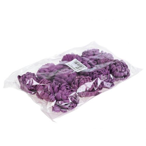 Floristik24 Fiori su filo viola scuro 8 cm 12 pz