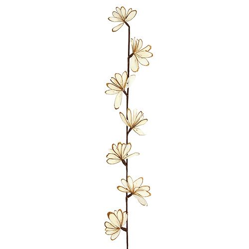 Floristik24 Sola Chips Sunny Stick Marrone, Bianco 6 pz.