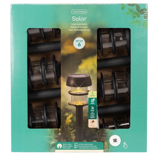 Luci solari da giardino con picchetto, lampade da esterno per vialetti da giardino, 35 cm, 6 pezzi | Floristik24.it