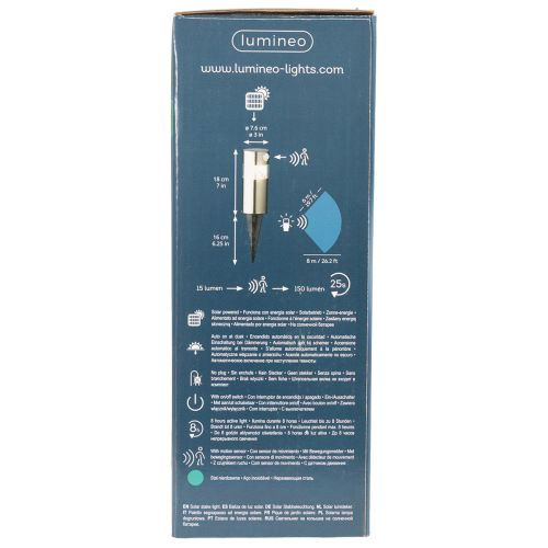 Lampada solare da giardino con picchetto e illuminazione a LED, 34 cm | Floristik24.it