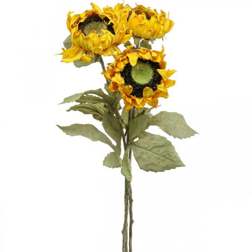 Floristik24 Girasoli artificiali Girasole decorativo Drylook L60cm 3 pezzi