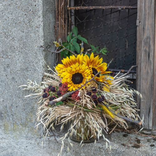 Floristik24 Cespuglio di girasole 40 cm