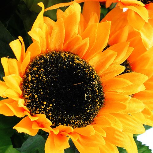 Floristik24 Cespuglio di girasole 40 cm