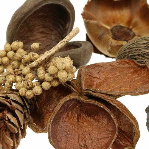 Floristik24 Assortimento esotico con coni strobus natura 300g