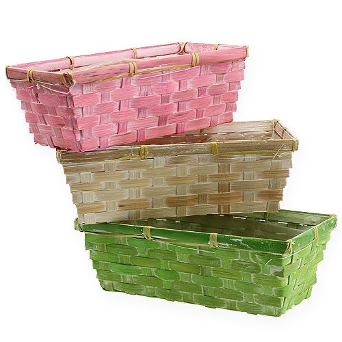 Floristik24 Cesto per piante quadrato multicolore 20 cm x 11 cm x 7 cm 8 pz