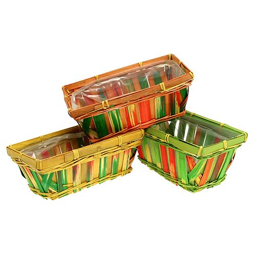 Floristik24 Set di cestini per patatine quadrati multicolore 20 cm x 11 cm 12 pezzi
