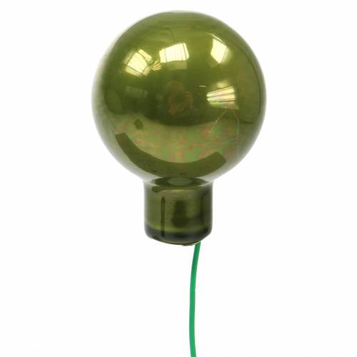 Floristik24 Specchio decorativo natalizio bacche verdi Ø2,5cm 140p