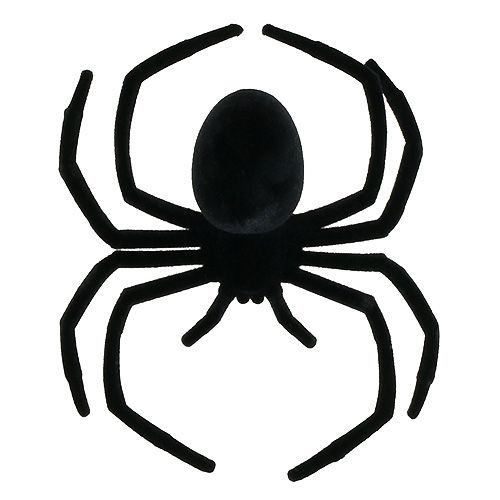 Floristik24 Ragno nero 16cm floccato