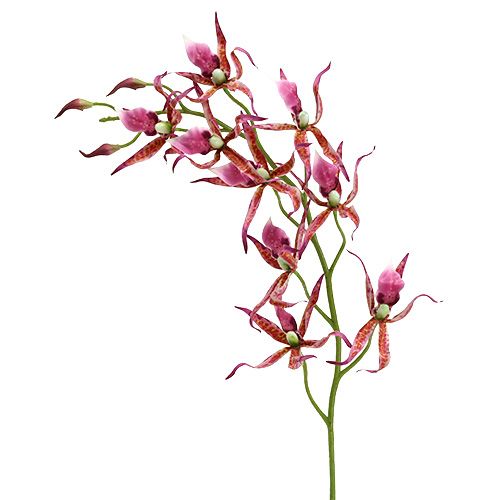 Floristik24 Orchidee ragno rosa-arancio 108 cm 3 pezzi