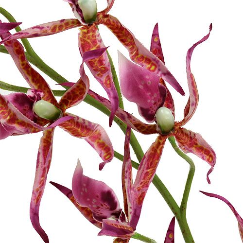 Floristik24 Orchidee ragno rosa-arancio 108 cm 3 pezzi