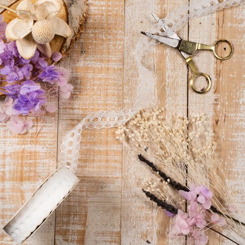 Nastro decorativo con pizzo, in cotone, con bordo fine, in rotolo, largo 25 mm, lungo 10 m. | Floristik24.it
