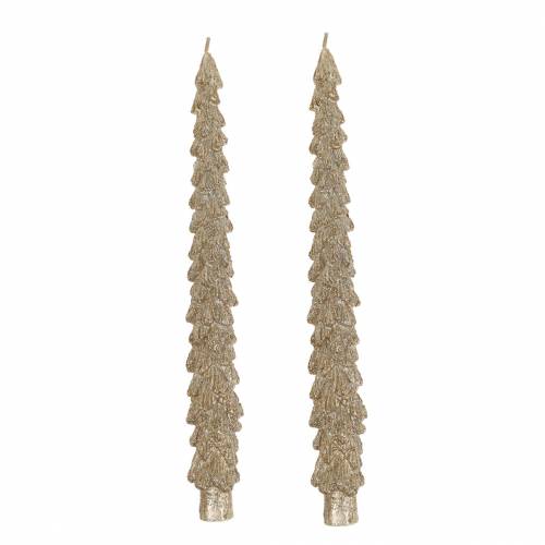 Floristik24 Candele affusolate abete oro metallizzato 30mm × 260mm 2pz