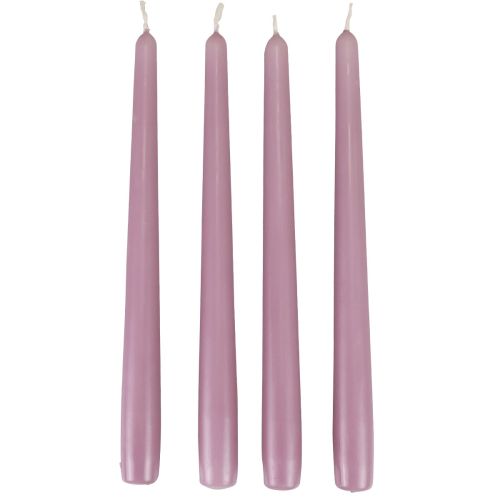 Floristik24 Candele coniche Candele Wenzel lilla 250/23mm 12 pz