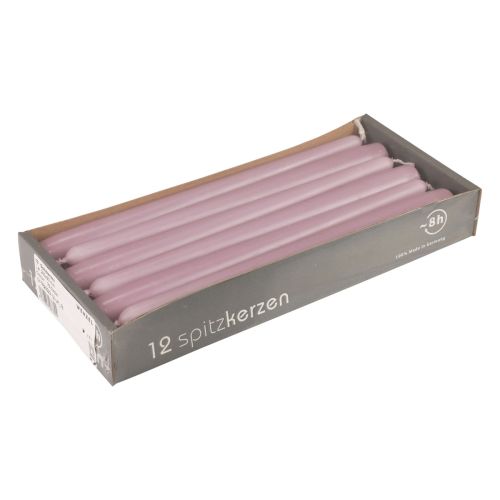 Floristik24 Candele coniche Candele Wenzel lilla 250/23mm 12 pz