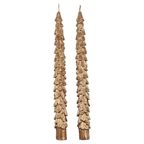 Floristik24 Candele coniche Candele metallizzate marroni Candele natalizie 25 cm 2 pezzi