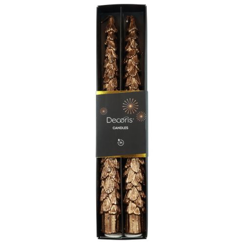 Floristik24 Candele coniche Candele metallizzate marroni Candele natalizie 25 cm 2 pezzi