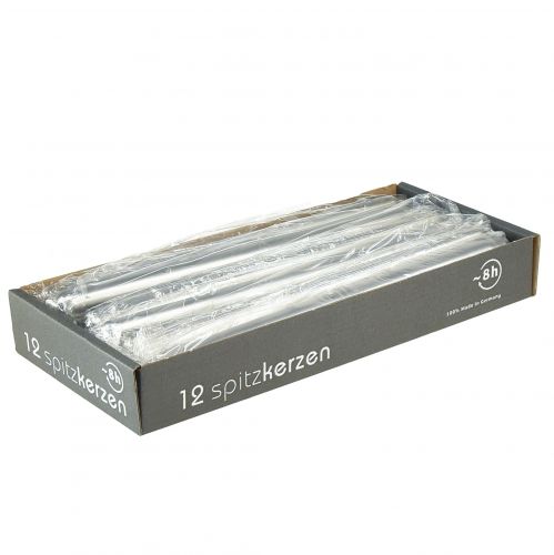 Floristik24 Candele coniche argento 250/23 12pz